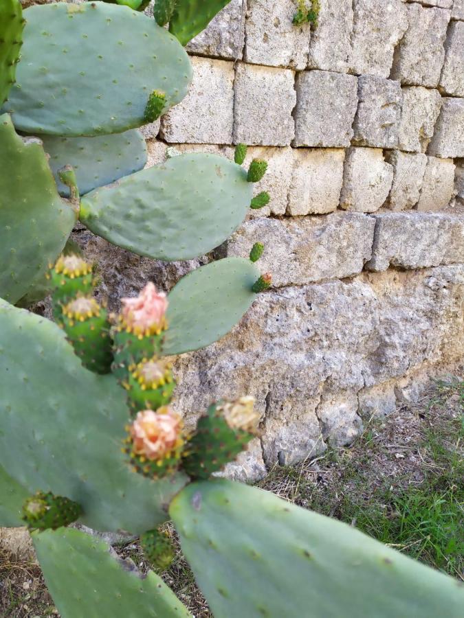 Appartamento Casina nel Salento Lecce Esterno foto